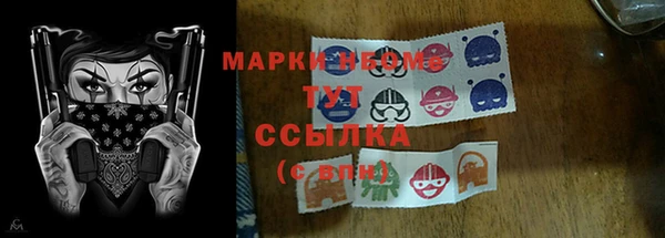 гашик Балахна
