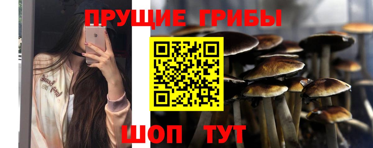 Галлюциногенные грибы Psilocybine cubensis  Галлюциногенные грибы ЛСД  Вход с VPN  Брянск 
